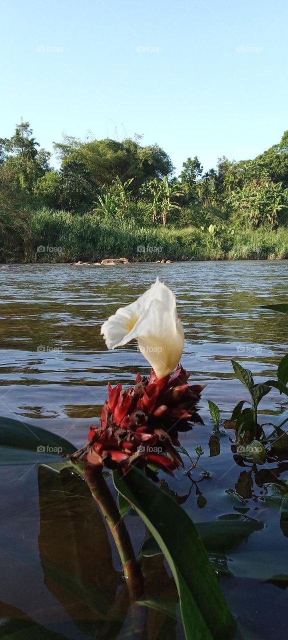 kalani river Sri Lanka