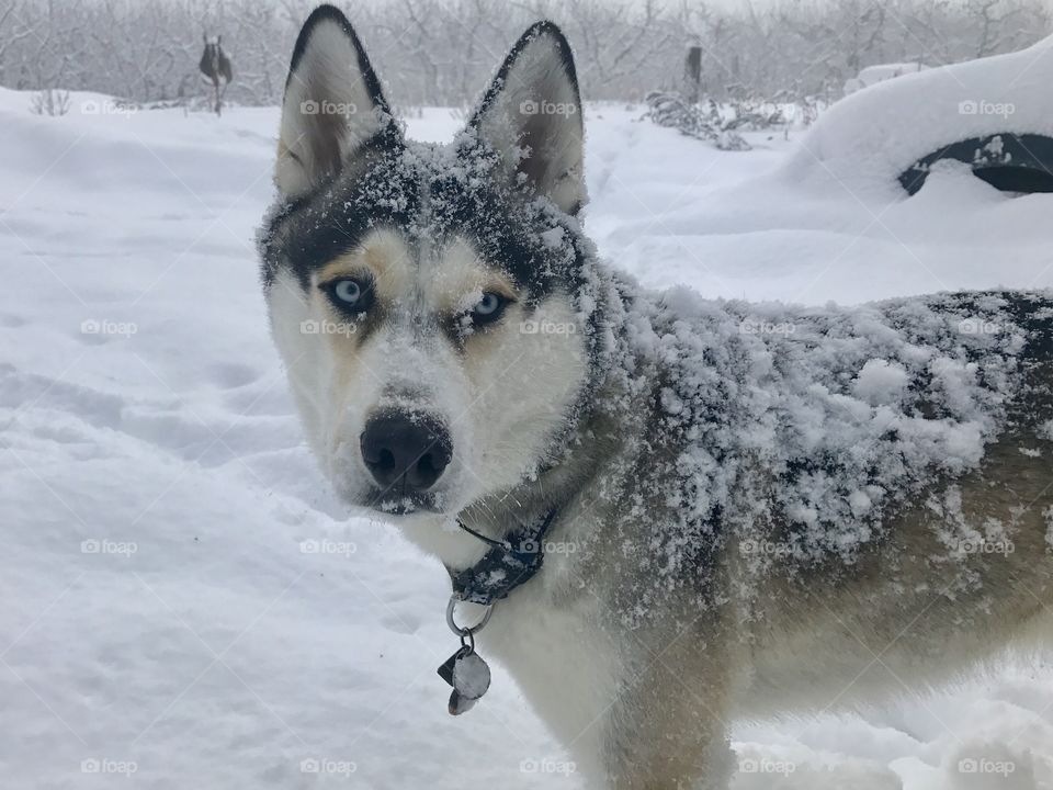 Blending in with my surroundings...