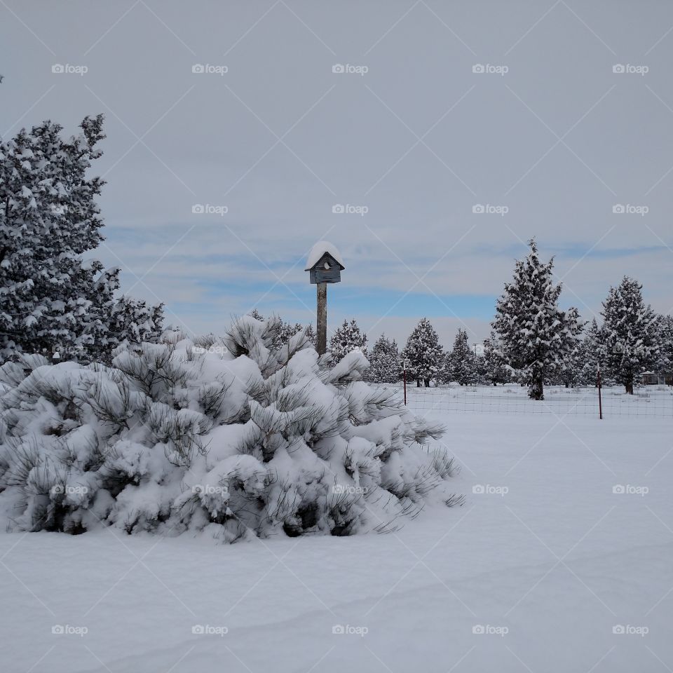 Birdhouse in Snow Central Oregon Crooked River Ranch Terrebonne Winter Redmond