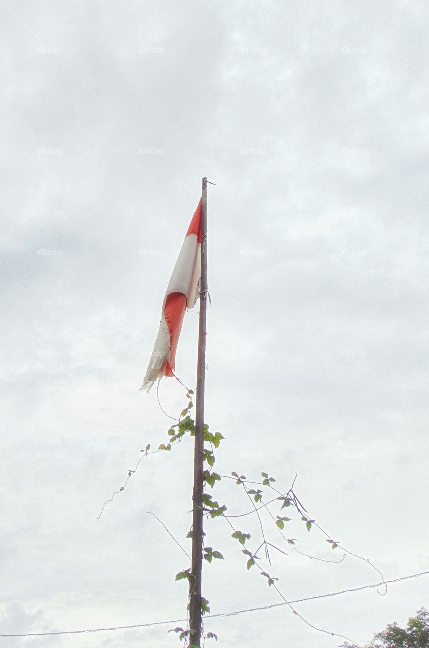 Indonesia torn flag