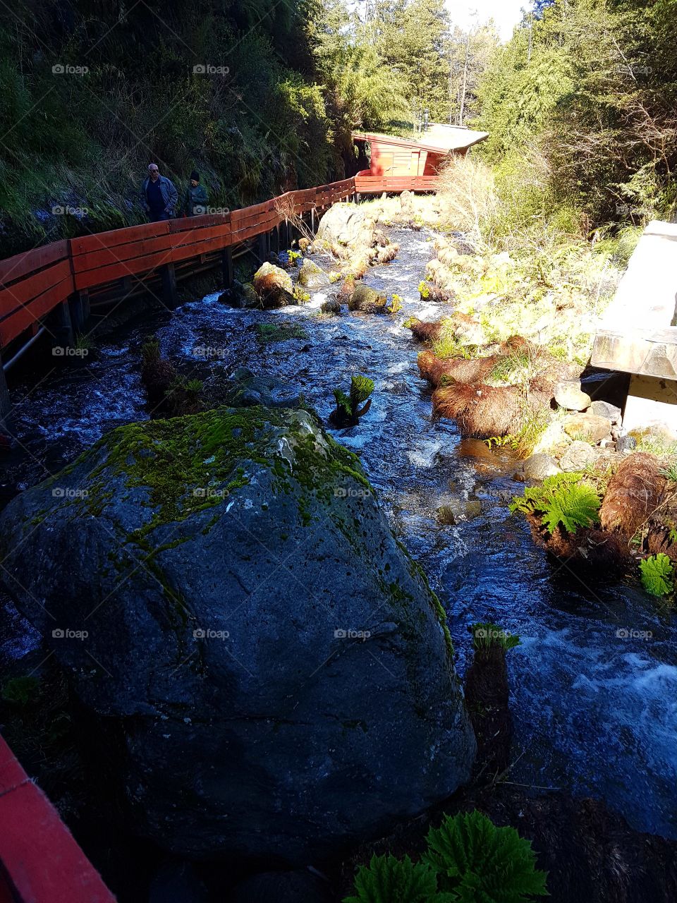 pucon termas geométricas
