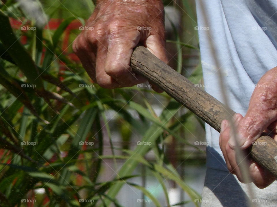 Two hands shoveling 