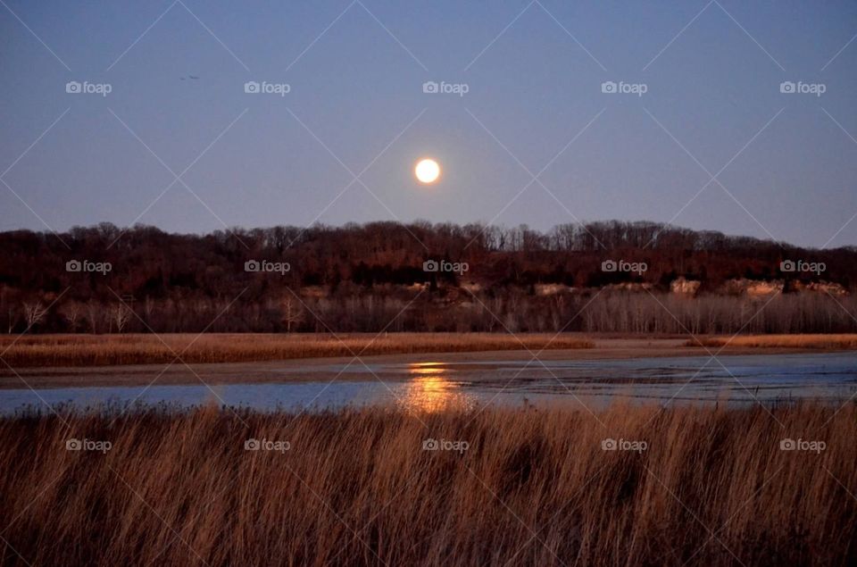 Moonrise. Full moon reflecting on water