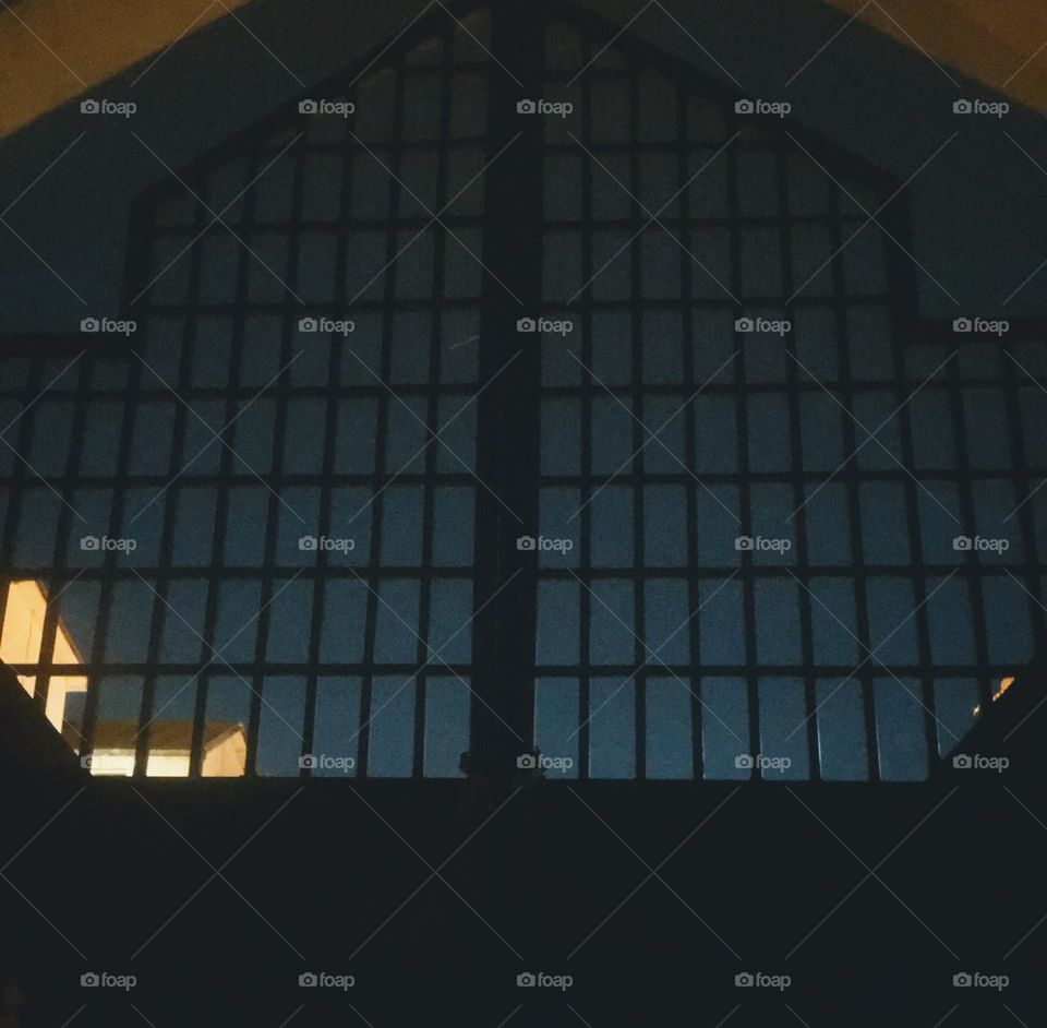 these are work of arts, the beauty of creation, the essence of beautiful images.