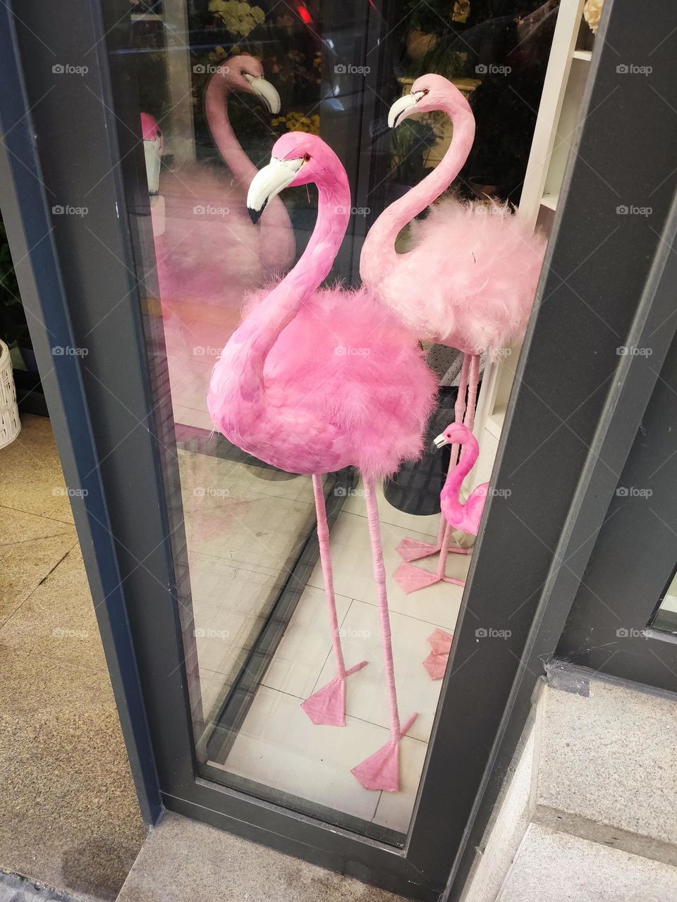 flamingo store