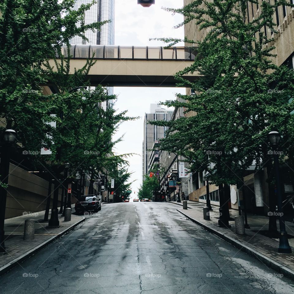 Street, Road, City, No Person, Building