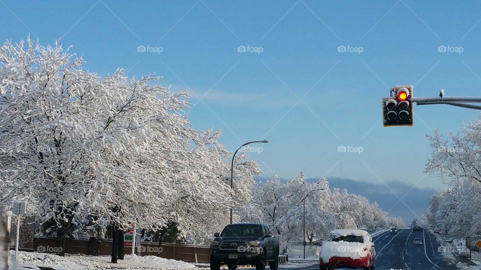 Springtime in the Rockies