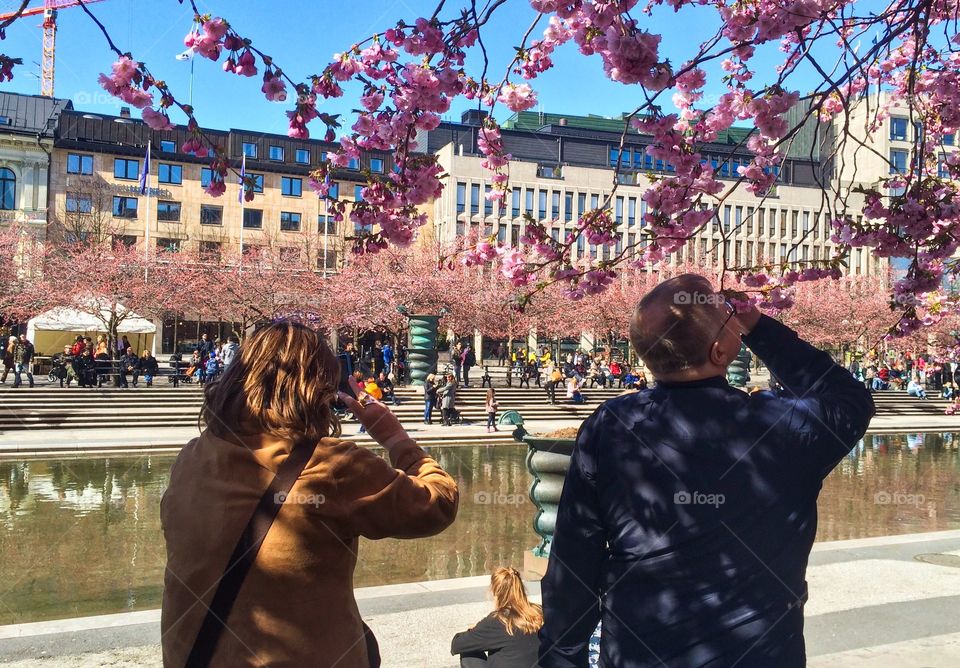 Kungsträdgården, Stockholm