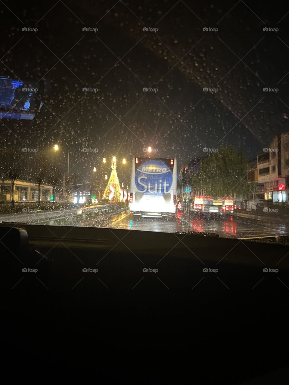 View night city tree 