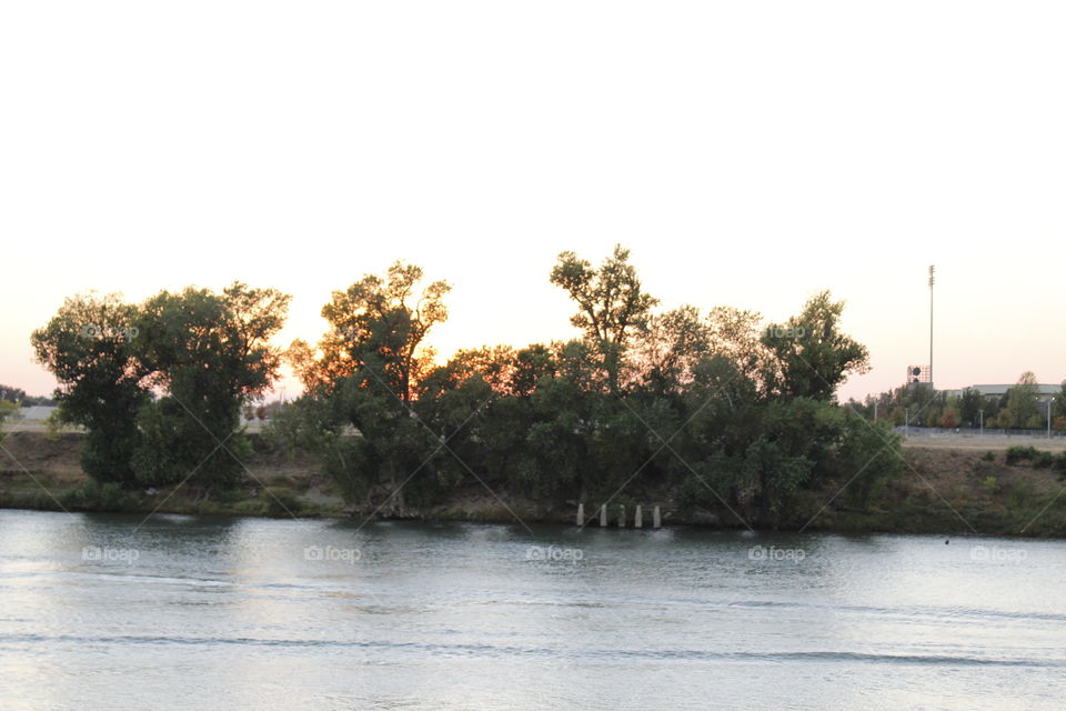 Tree, Water, Nature, River, Landscape