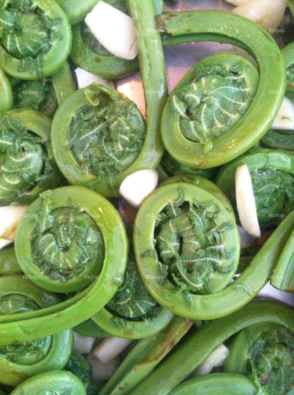 Fiddlehead ferns 