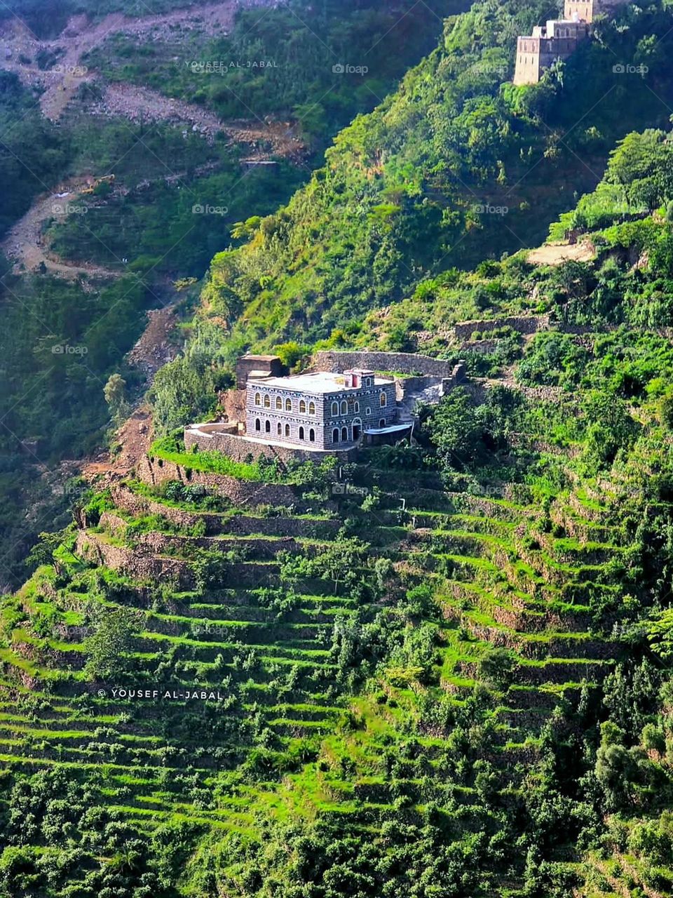 A very beautiful picture, and there is no better picture than it. There is no better picture of green herbs and colorful, red and white roses than it. Glory be to God, the natural and picturesque view, and there is no more