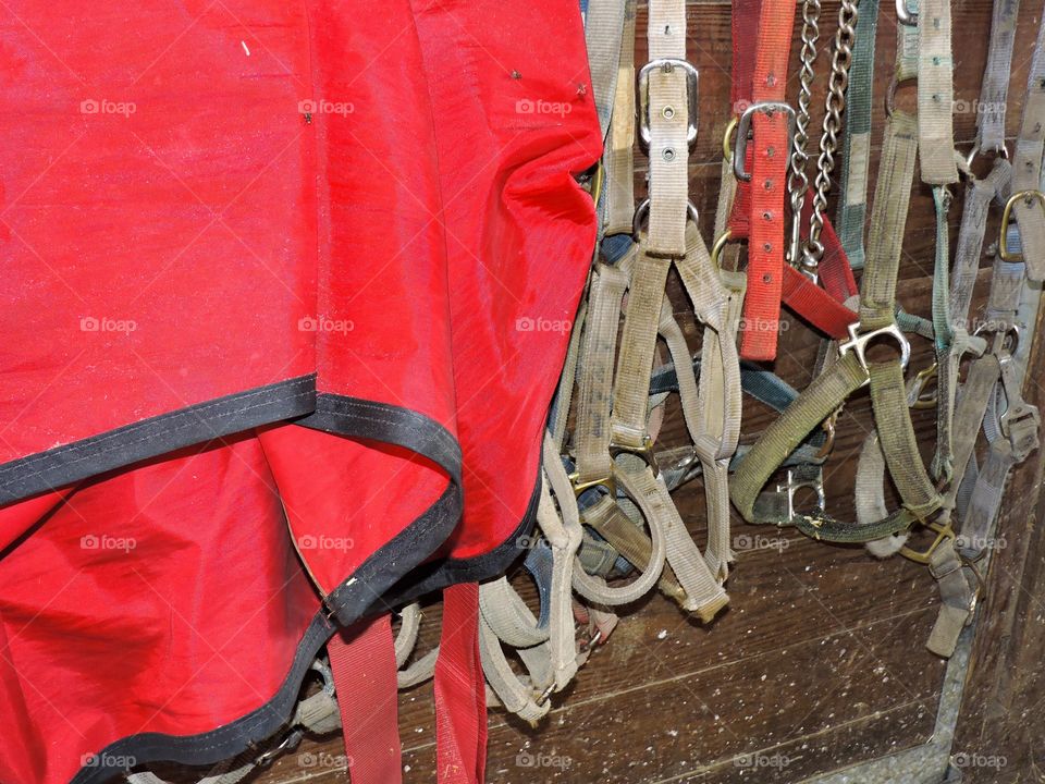 Horse equipment