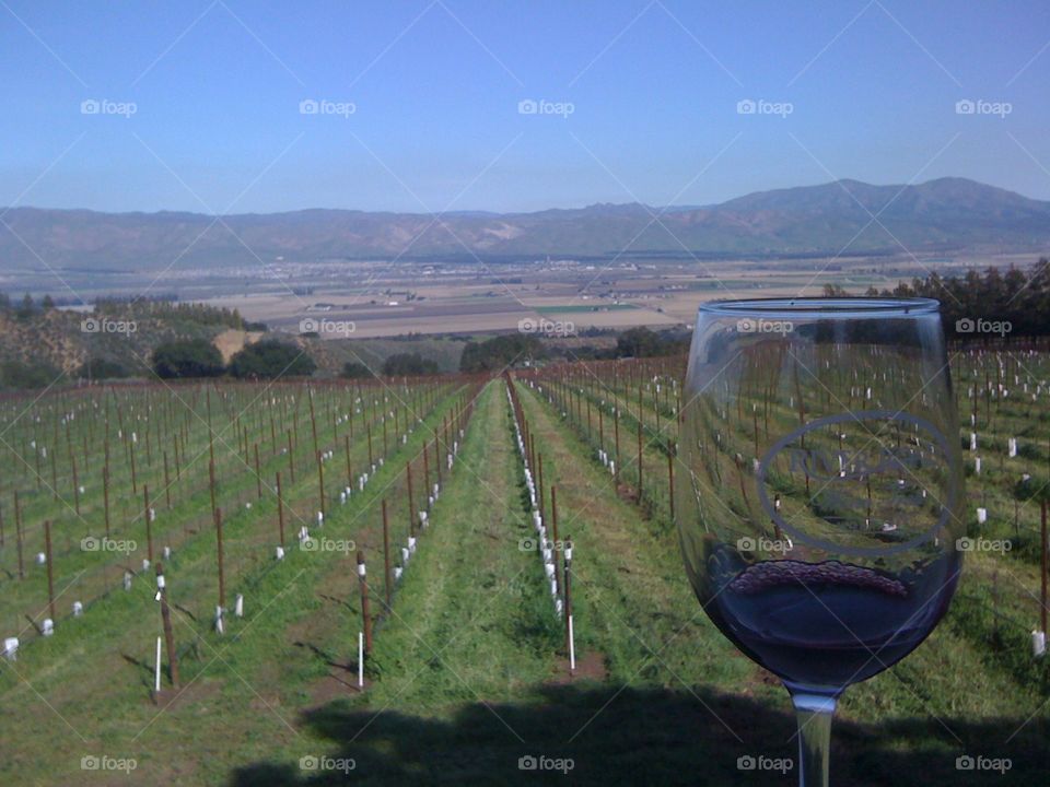Touring wine country in California