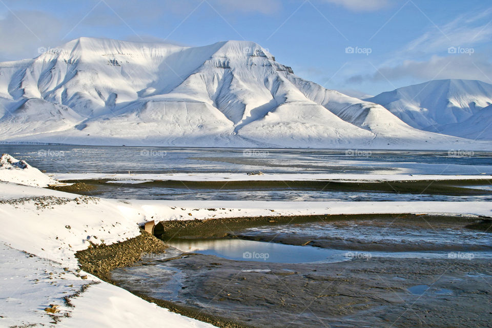 Scenic view in winter