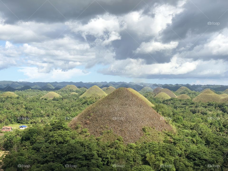 Chocolate hills in Bohol