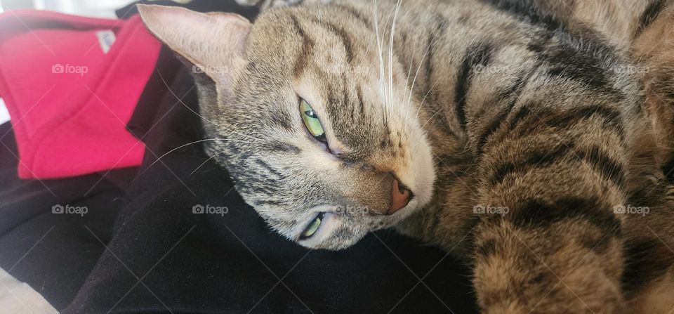 i see you trying to catch me sleeping