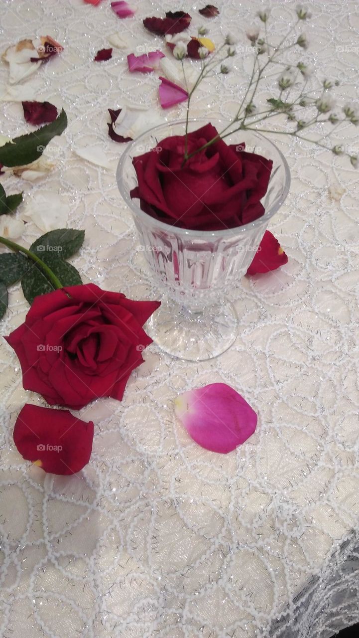 beautiful rose on table.