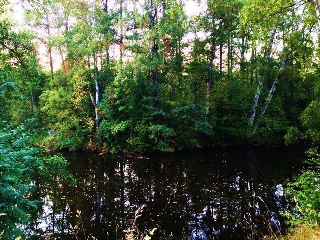 Nice lake