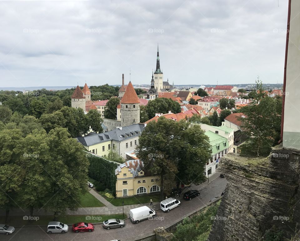 Feel Tallinn