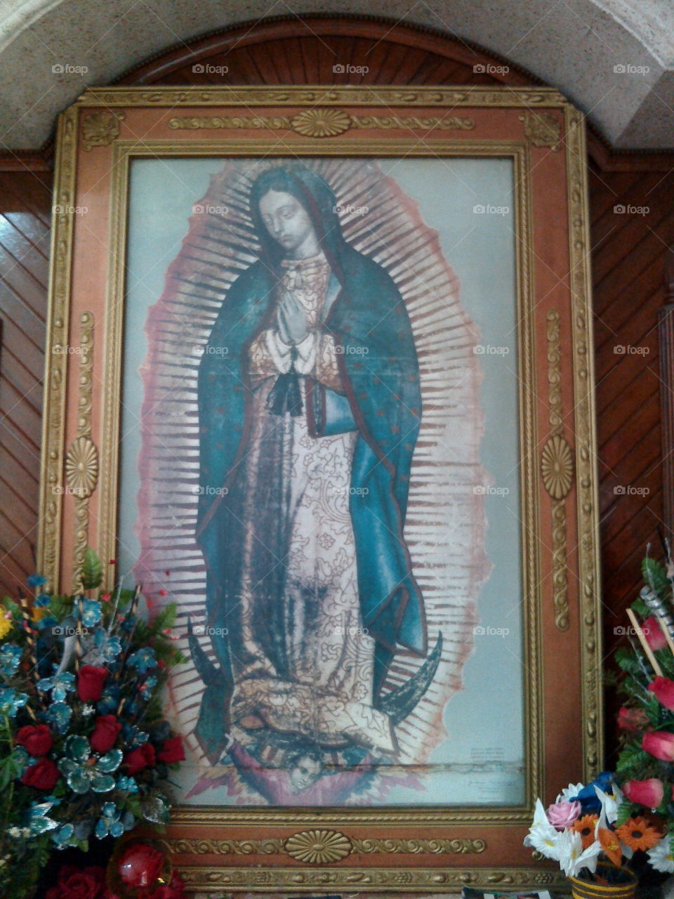 Guadalupe's Virgin