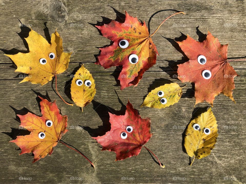 Colourful autumn leaves with black googly eyes on rustic wooden table