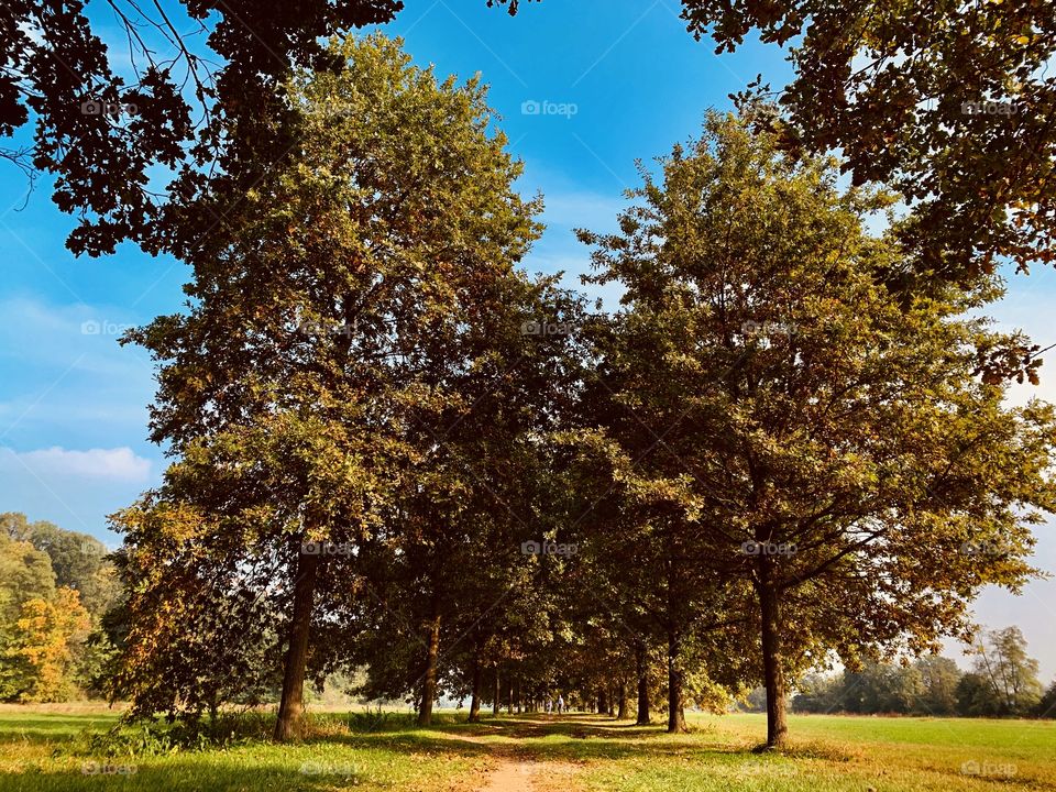 La mandria Venaria Italy