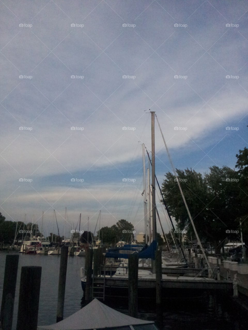 sail boats in the harbor. safe harbor