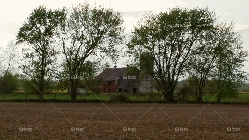 Red barn trees field