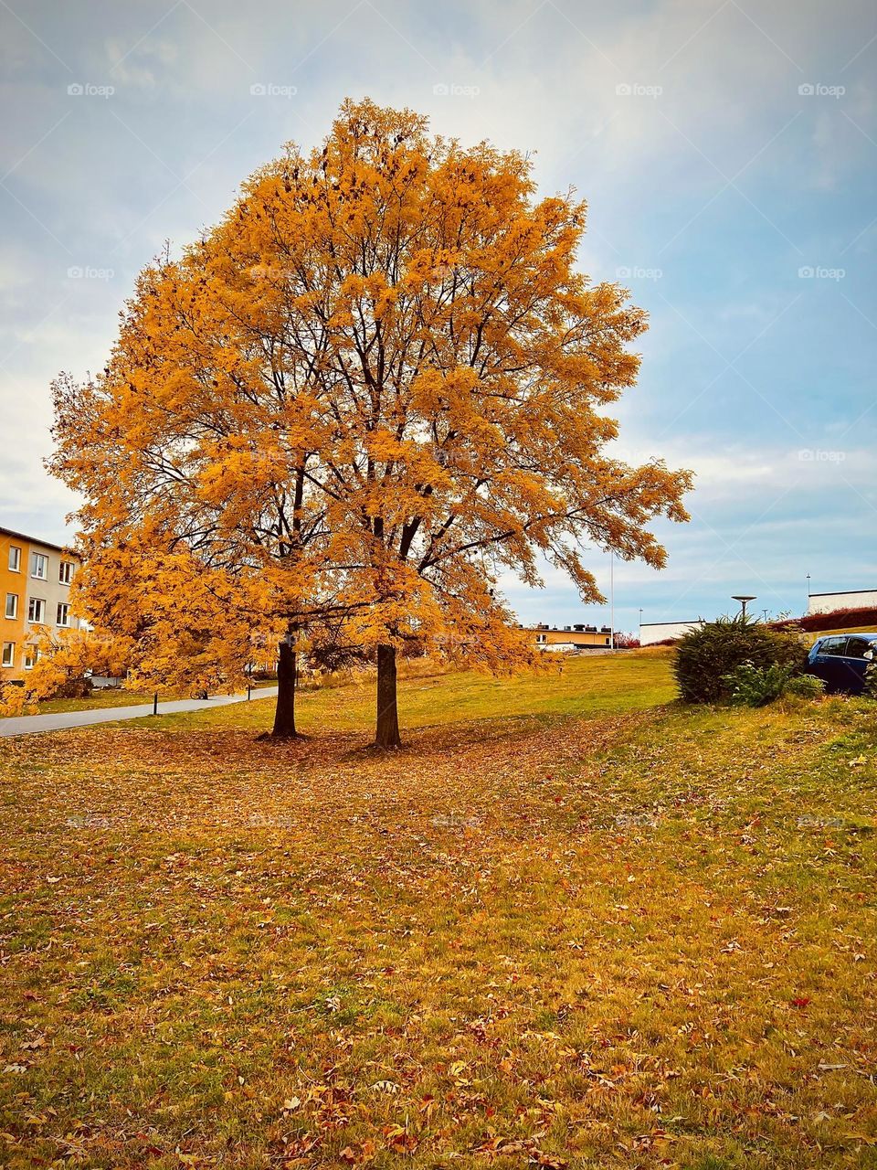 my favourite of seasons — take 1💥