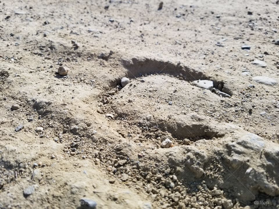 Horseshoe on a trail