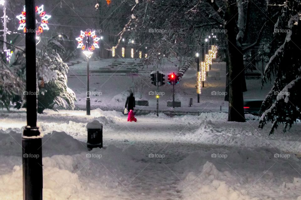 A park during winter period