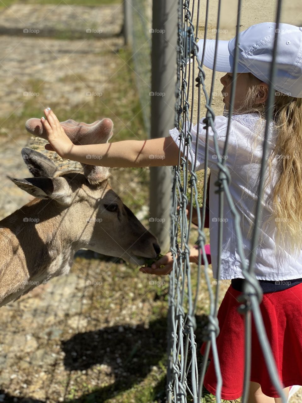 a girl touching a deer by the horns