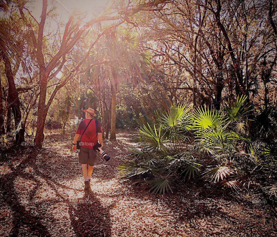 Photographer enjoying his hobby in a beautiful sunlit tropical forest.