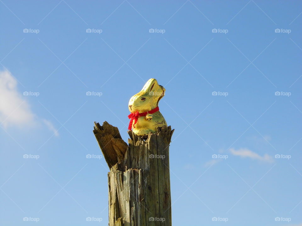 well come easter rabbit chocolate and beautiful blue sky background