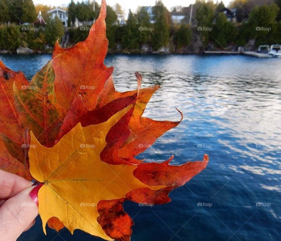 Tobermory Ontario Autumn