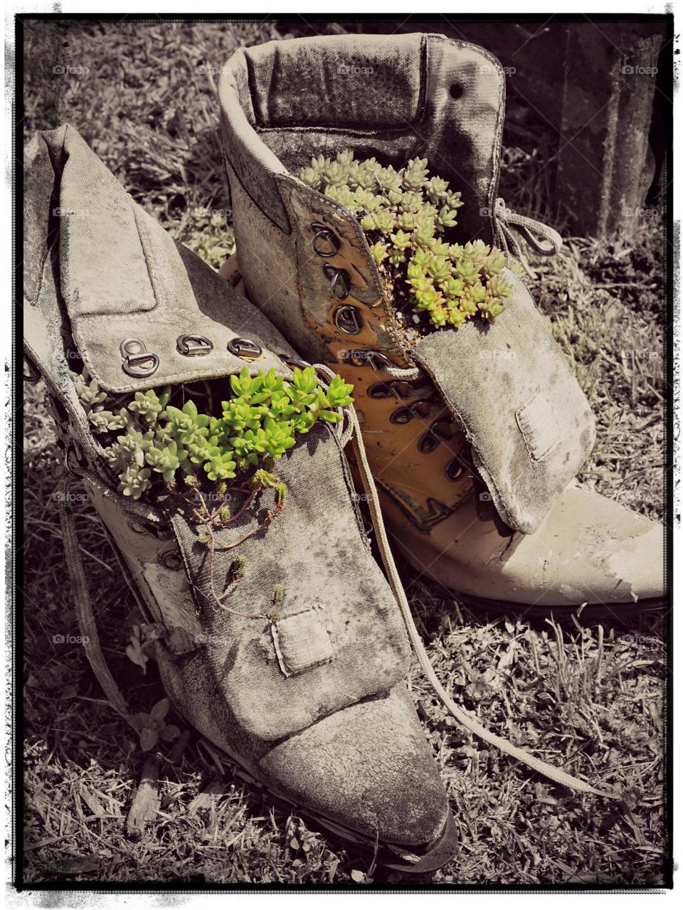 Rustic Boots Plant Container 