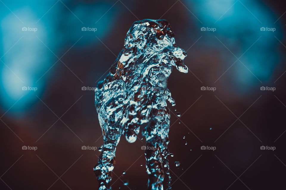 water experience,  splash macro shooting