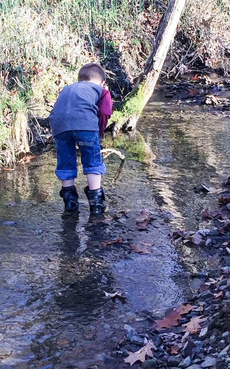 Creek Adventure. My grandson loves exploring the creek by our house. 