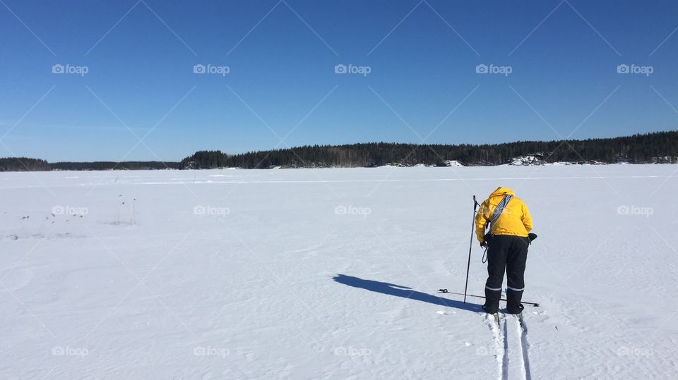 Skier prepairing to Cross lake Ice, lake Saimaa Finland winter time.