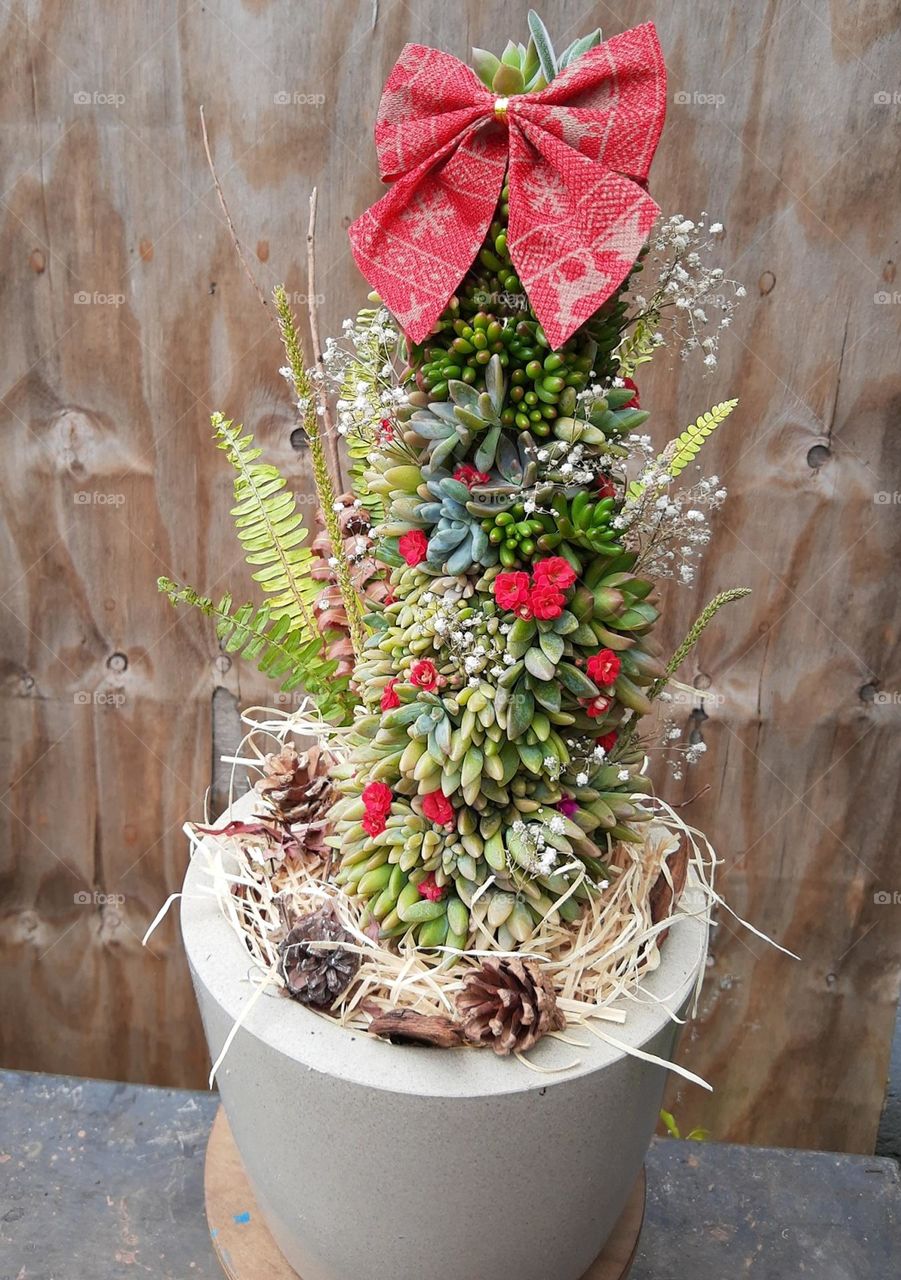 Christmas tree made with natural plants