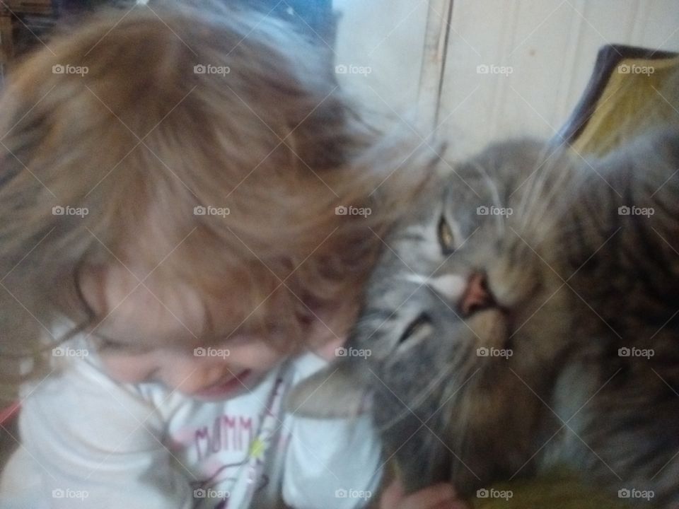 Kid and cat