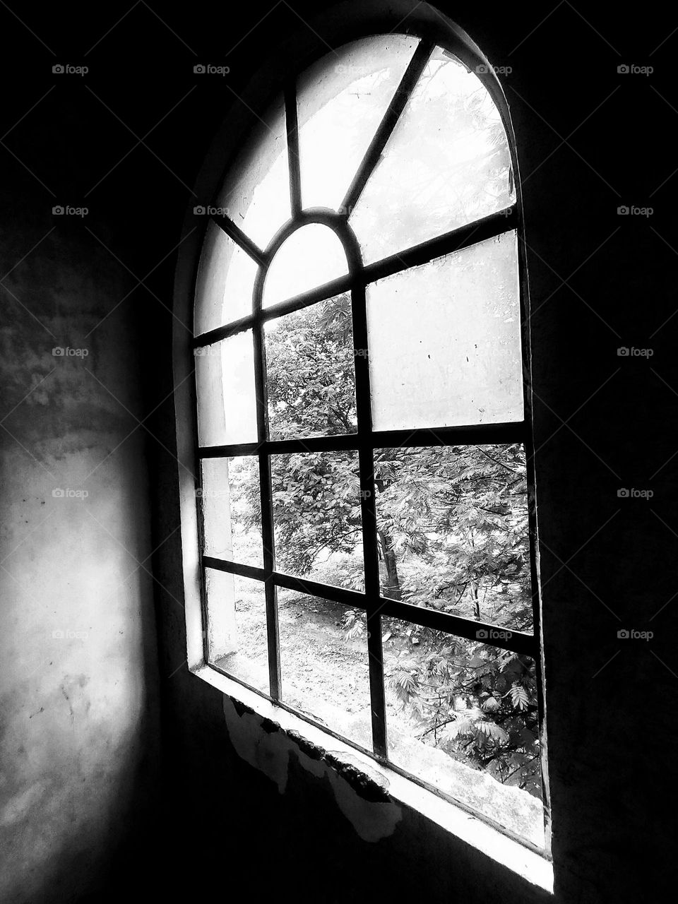 Window