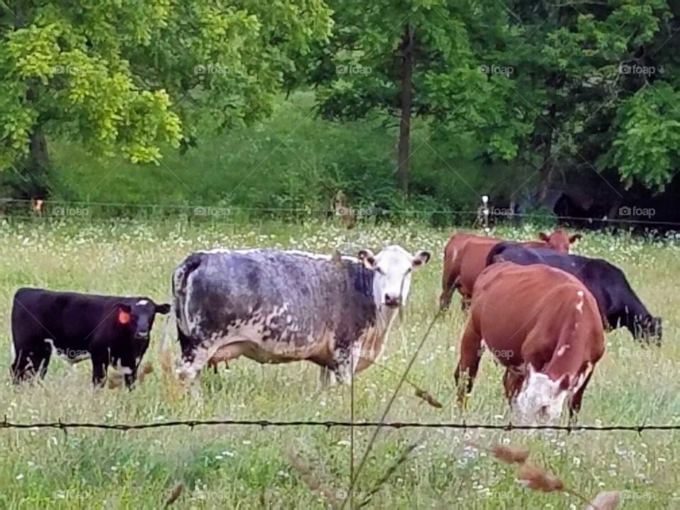 Driving the Back Roads and enjoying everything around us