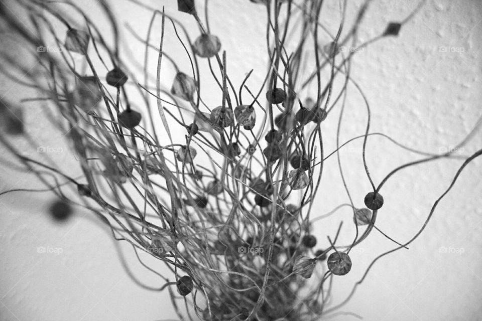 Beads on wire - Black and white is my true