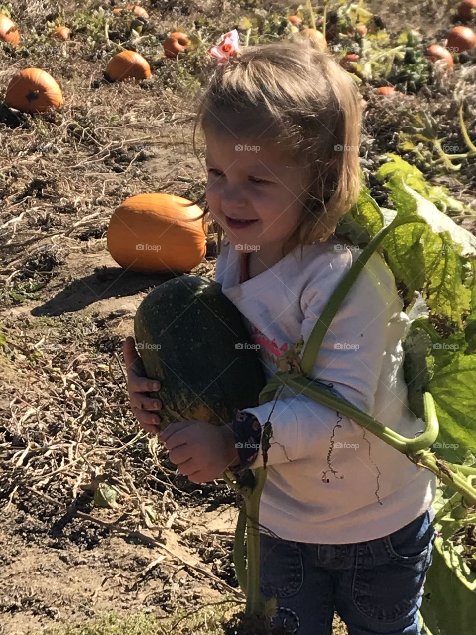 Adorable toddler picking green pumpkin off vine