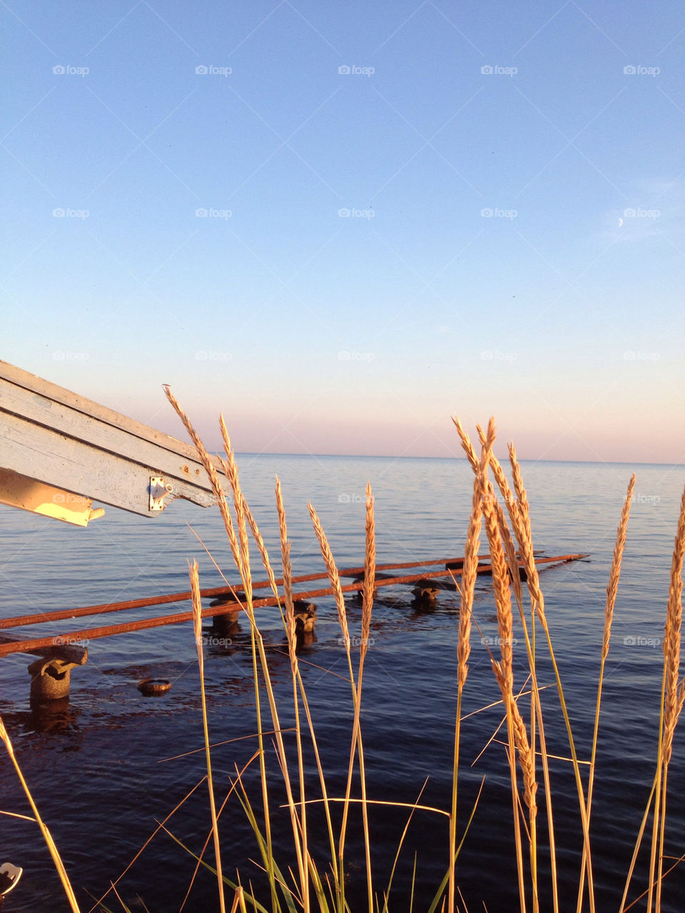 sweden sun autumn evening by shec