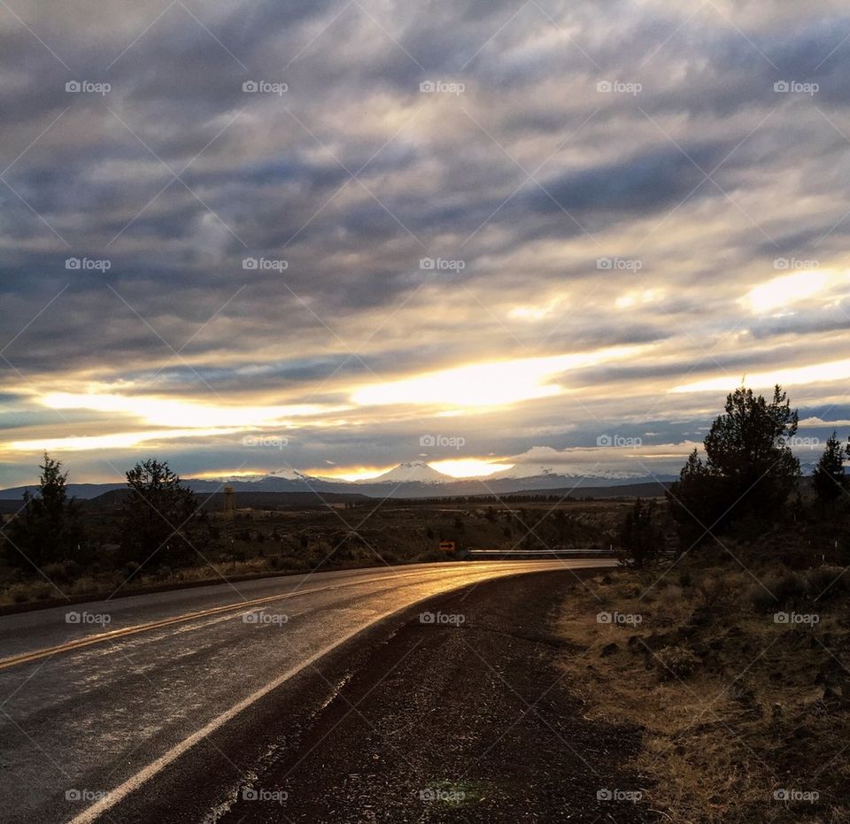 Empty road along with trees during sunset