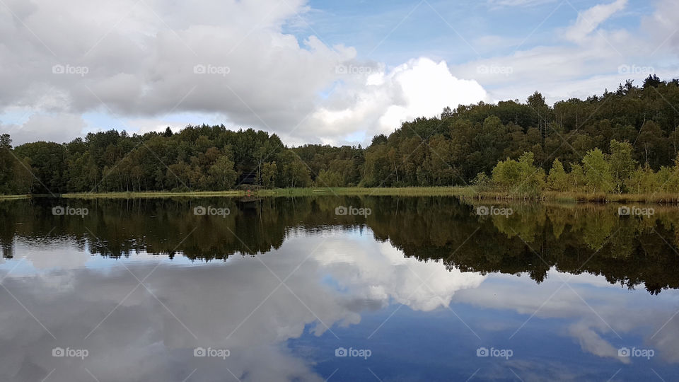 Autumn forest reflections 