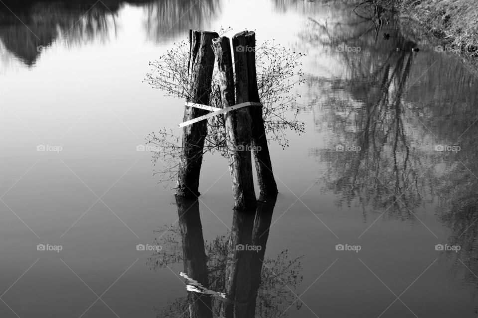 Wooden river pillars